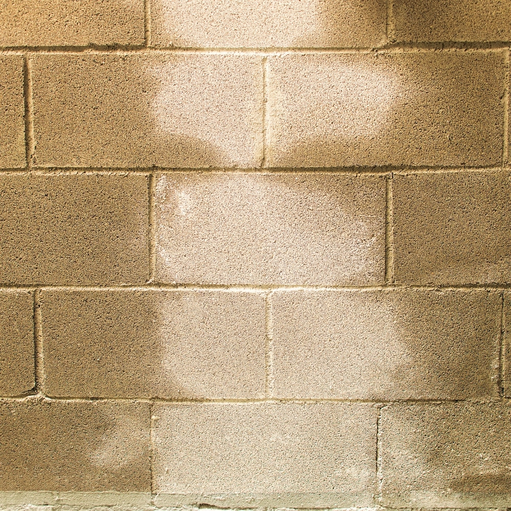 Assessing Foundation Leaks: Main Causes & Best Solutions